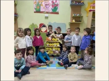 Zholti pilinja 7