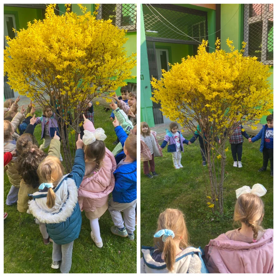 Пролет во дворот Prolet vo dvorot 1