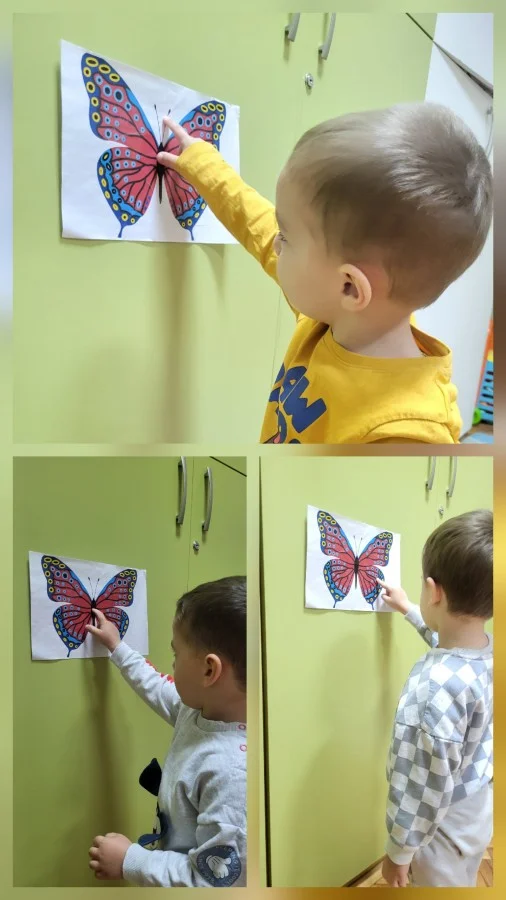 Лет, лет пеперутке Let, let peperutke 1